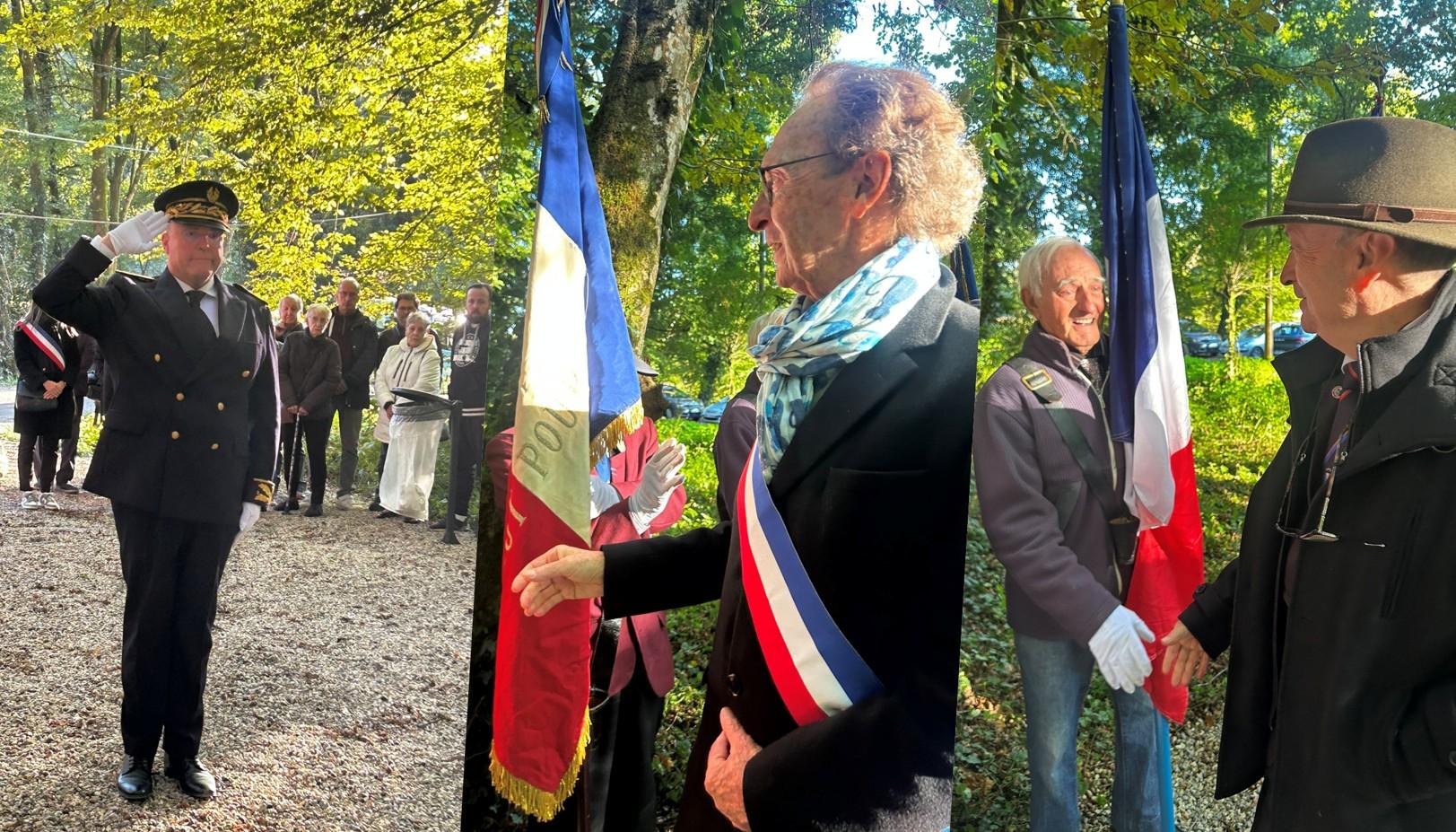 Image web bois de dasles 0030 ce